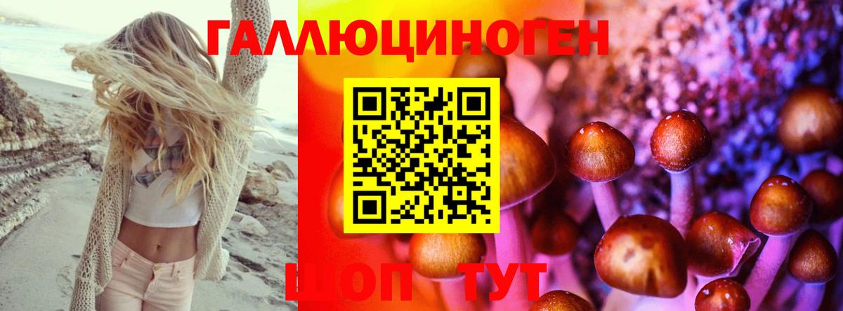 Галлюциногенные грибы GOLDEN TEACHER  Вход с VPN  Скопин 